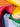 Swirl arrangement of vintage-style knit cardigans in a rainbow spectrum of colors