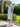 Weekender Midcentury Style Gingham Summer Soft Suit - Curaçao
