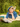 Model lying on a picnic blanket reading a newspaper while wearing the petrol blue classic wool beret