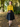 Socialite Fair Isle Scottish Wool Jumper - Citrine Yellow