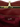 Open interior view of black cherry faux leather purse showing deep red lining, zipped pocket, and Socialite brand label