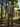 3 Piece Suit Bundle Clubman - Moss Green