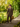 2 Piece Suit Bundle Deliverance Demob - Brown Herringbone