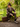 2 Piece Suit Bundle Deliverance Demob - Brown Herringbone