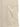 Socialite Havana Midcentury Casual Overshirt - Cream